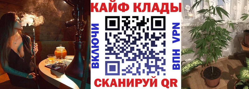 Купить наркотики сайты Белозерск А ПВП Меф ГАШ Кокаин