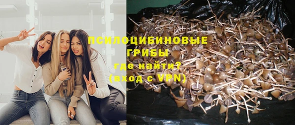 прущие крисы Баксан