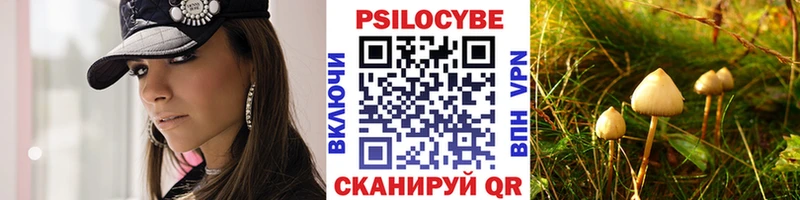 ОМГ ОМГ   Белозерск  Псилоцибиновые грибы GOLDEN TEACHER 